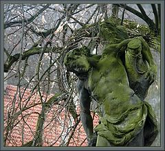 photo "* * *"