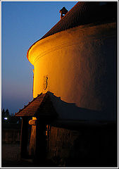 photo "Eveninig light"