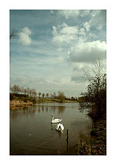 photo "dream"