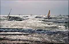 photo "Wind`s celebrate"