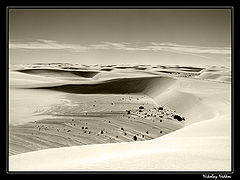 photo "Untitled photo"