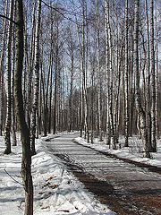 фото "На прощание  с зимой..."