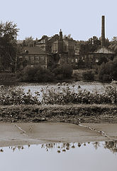 photo "After a rain"