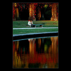 photo "double fall"