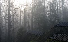 photo "Today morning through my bedroom window"