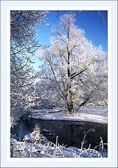 photo "Winter sketches-2"