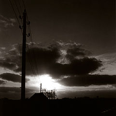 photo "Untitled photo"