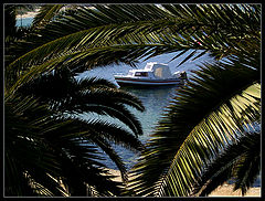 фото "view"