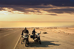 photo "Desert friends"