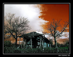 photo "earth Fe, sky Cu"