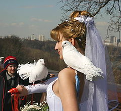 фото "Сеймейное счастье."