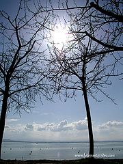 photo "lago 2004"