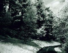 фото "Long,Long Road Awinding."