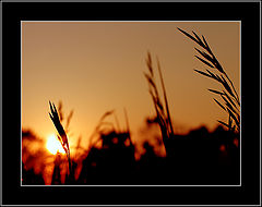 photo "birth of day"