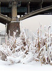 photo "Untitled photo"