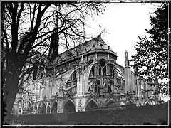 photo "notre dame"
