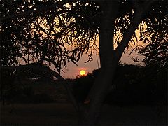 фото "sunset"