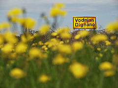 фото "Yellow"