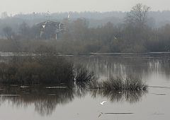 photo "Untitled photo"