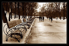 photo "Benches (looking for clients)"