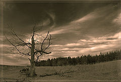 photo "***"
