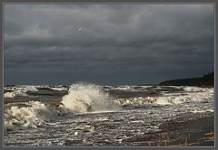 фото "*****(12)"