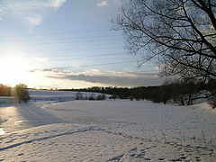 photo "Spring 2005"