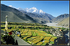 photo "NEPAL, Mustang, Kagbeni"