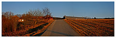 photo "Spring evening"