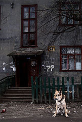 photo "Getting old"
