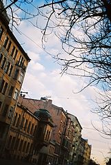photo "street"