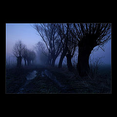 photo "***"