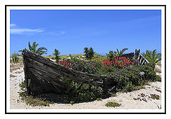 фото "praia do (beach of) barril"
