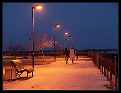 photo "The friends talk"
