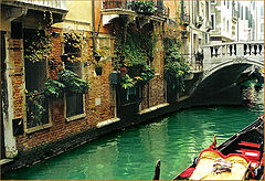 photo "hanging gardens..."