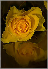 photo "Admiration of herself"