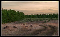 photo "***"
