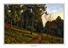 фото "***"