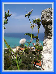фото "panorama"