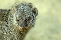 photo "Whaz up ?"