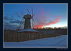 photo "Red wing"