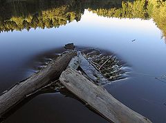 photo "Untitled photo"