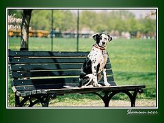 фото "Civilized"