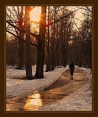 photo "Syvorovskiy park. Evening"