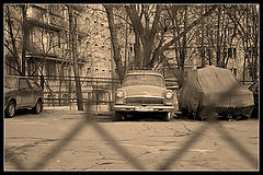 photo "***"