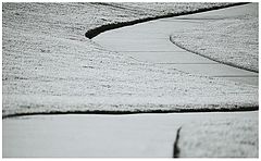 фото "The Paved snake"