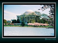 фото "Thomas Jefferson`s Memorial"