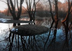 photo "Untitled photo"