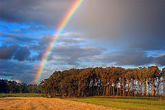 фото "Hope"