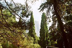 photo "Crimea"
